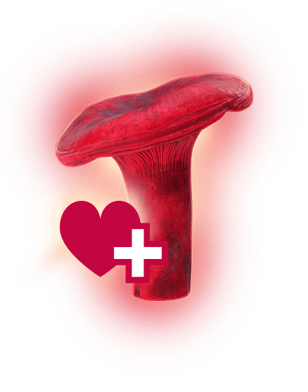 Mushroom of health